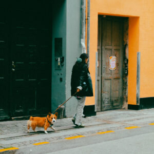 Doggo