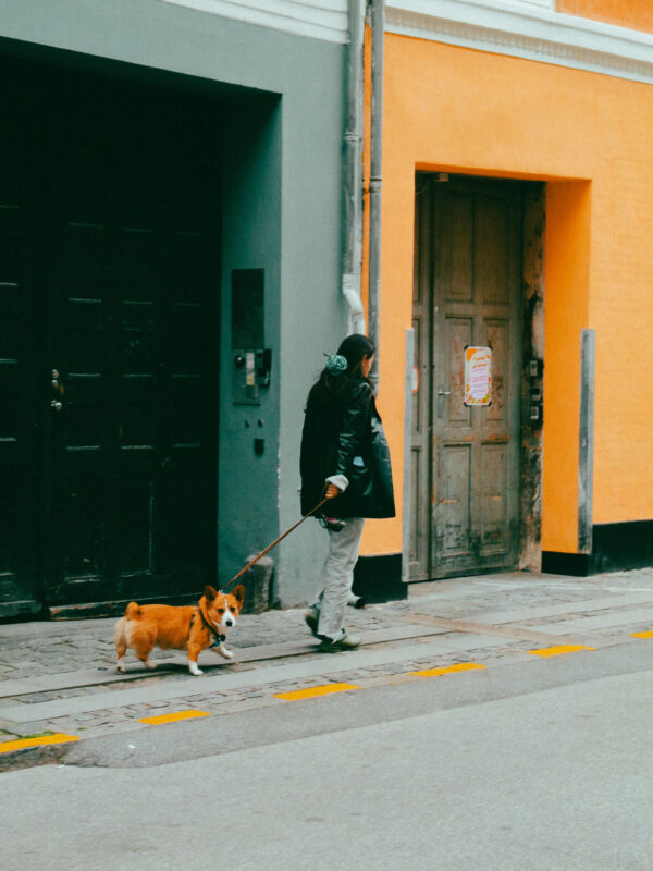 Doggo